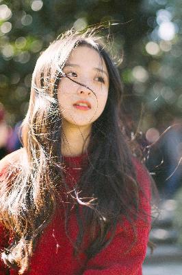 仙台有树电视剧免费观看全集高清完整版